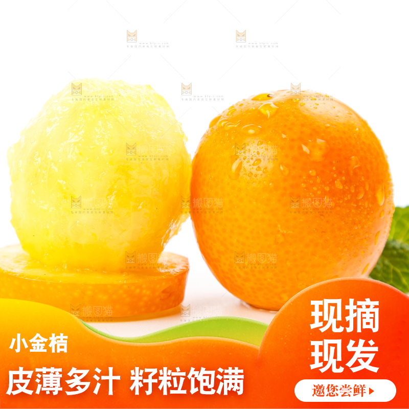 白底上的融安小金桔