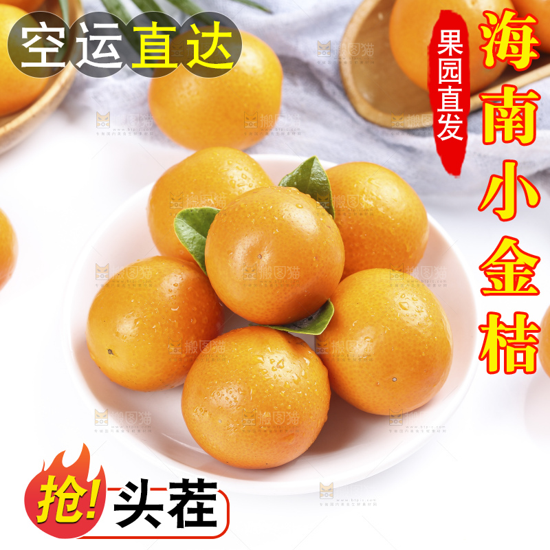 碟子里的融安金桔