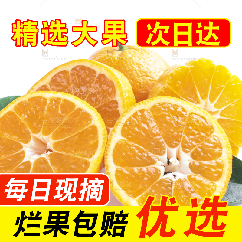 白底上放着椪柑