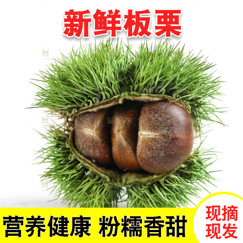 白底上的生板栗