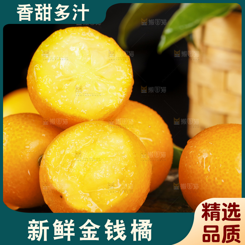 黑底上的小金桔