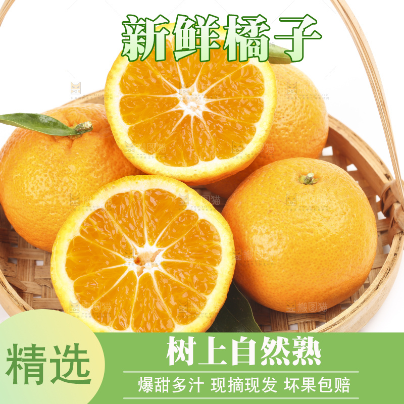 白底上的椪柑橘