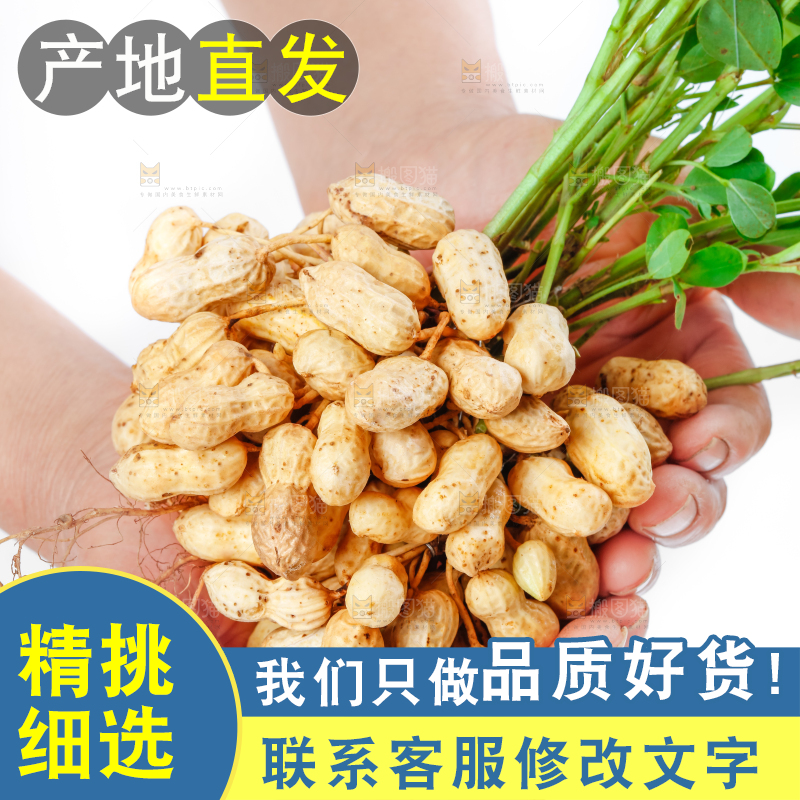 手上捧着湿花生