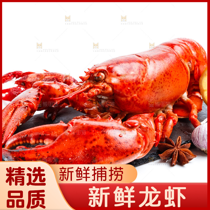 黑石板上的澳洲大龙虾