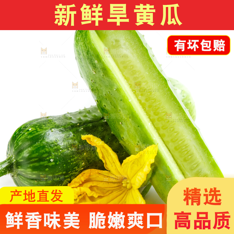 白底上放着小黄瓜