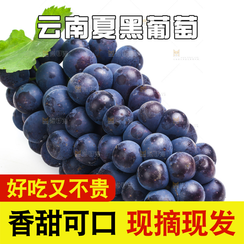 白底上的夏黑葡萄