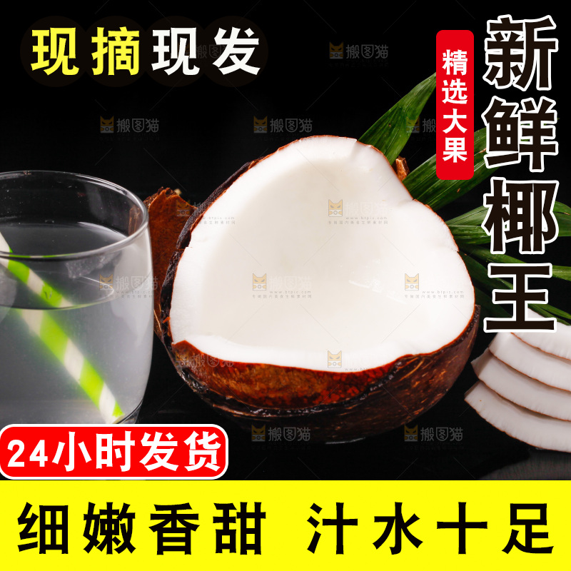 黑底上的椰王