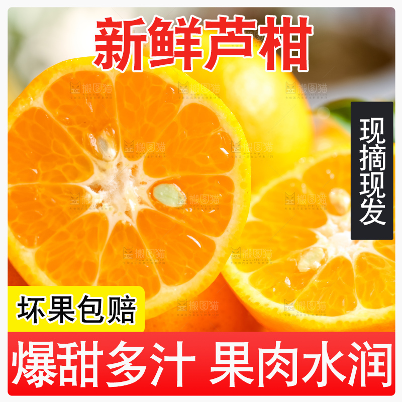黄底上的椪柑橘