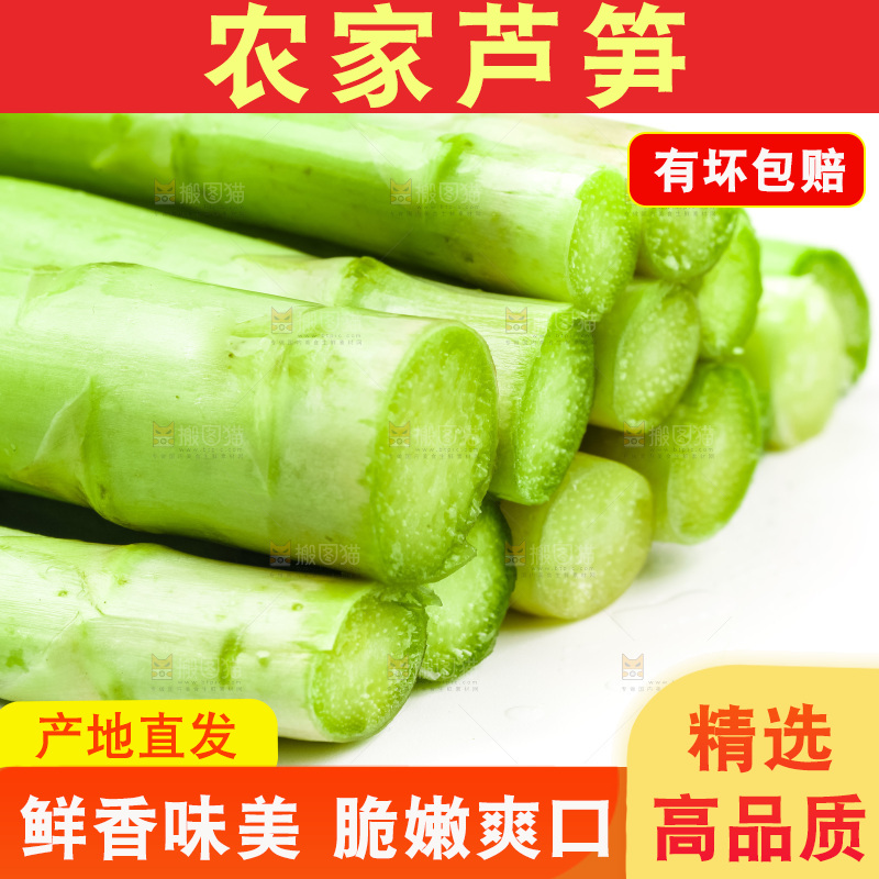 白底上的芦笋