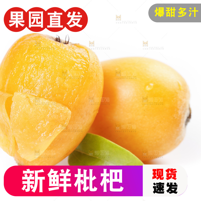 白底上放着攀枝花米易枇杷