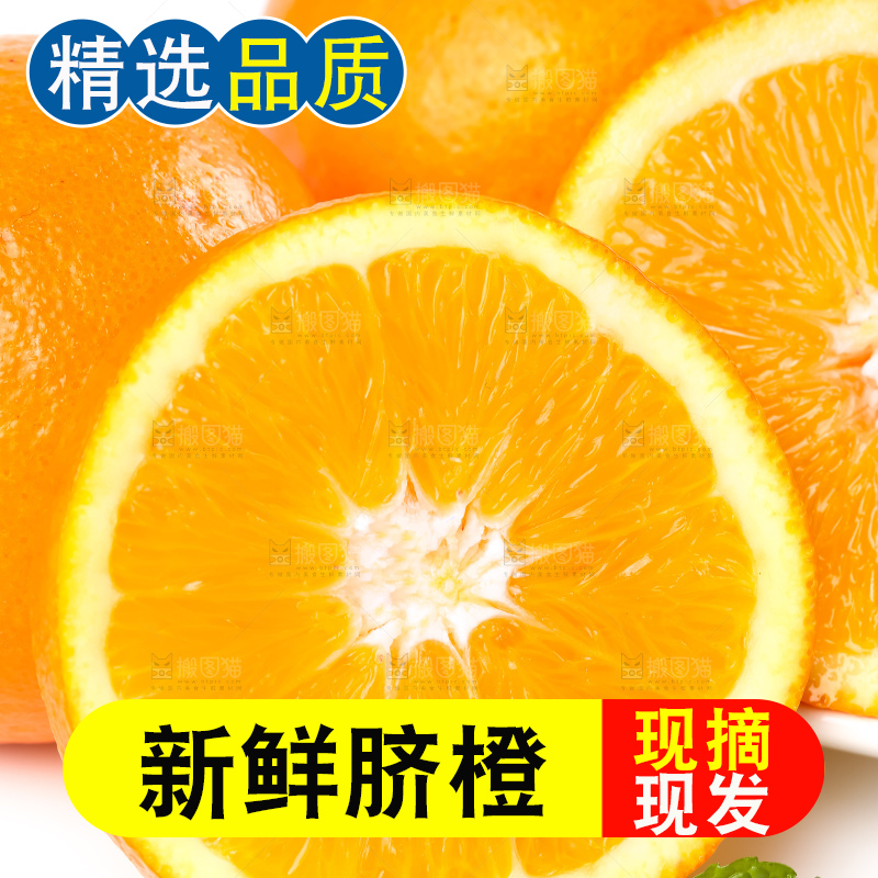 白底上的新鲜橙子