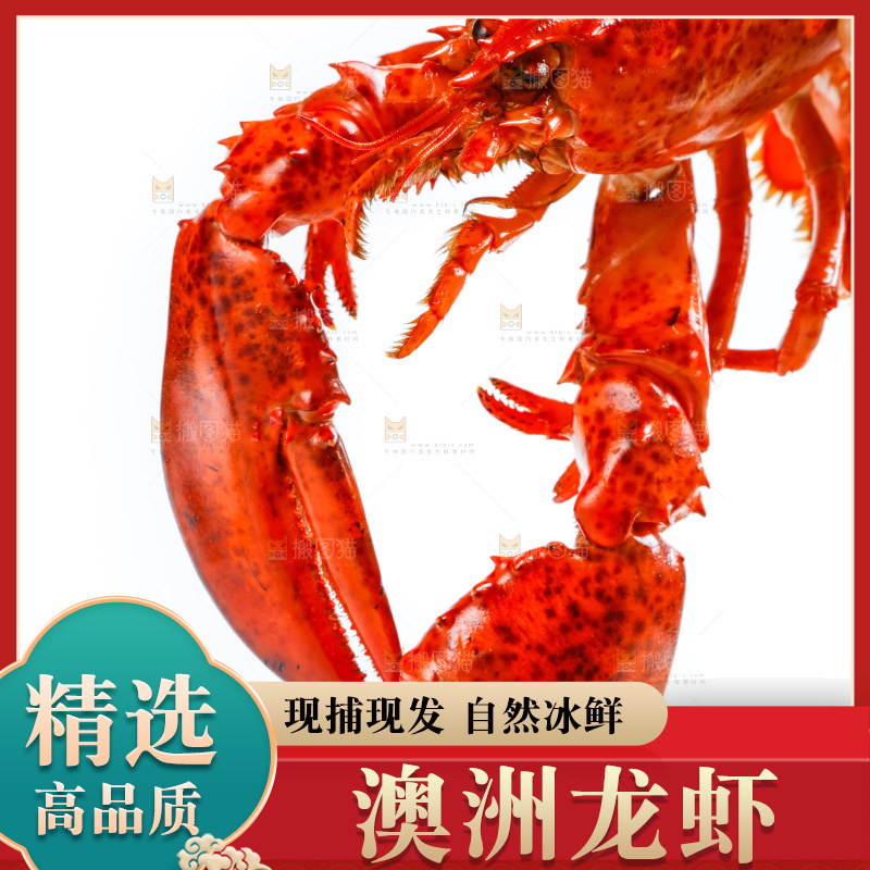 手拿波士顿大龙虾
