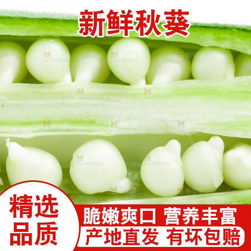 白底上的新鲜秋葵