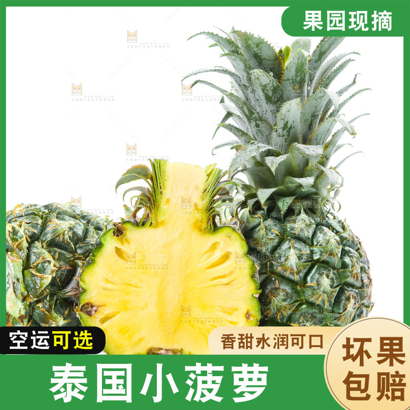 白底上放着泰国小菠萝