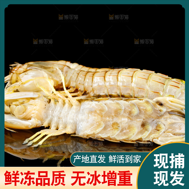黑底上摆放着舟山皮皮虾