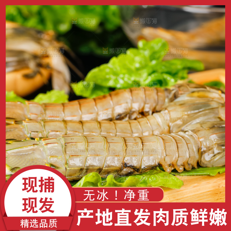 盘子里装着舟山皮皮虾