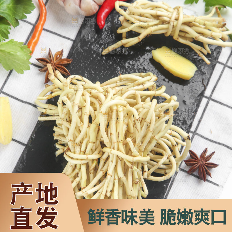 石板上的鱼腥草