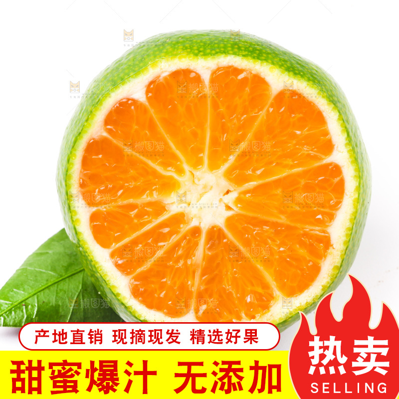 白底上的青皮蜜橘