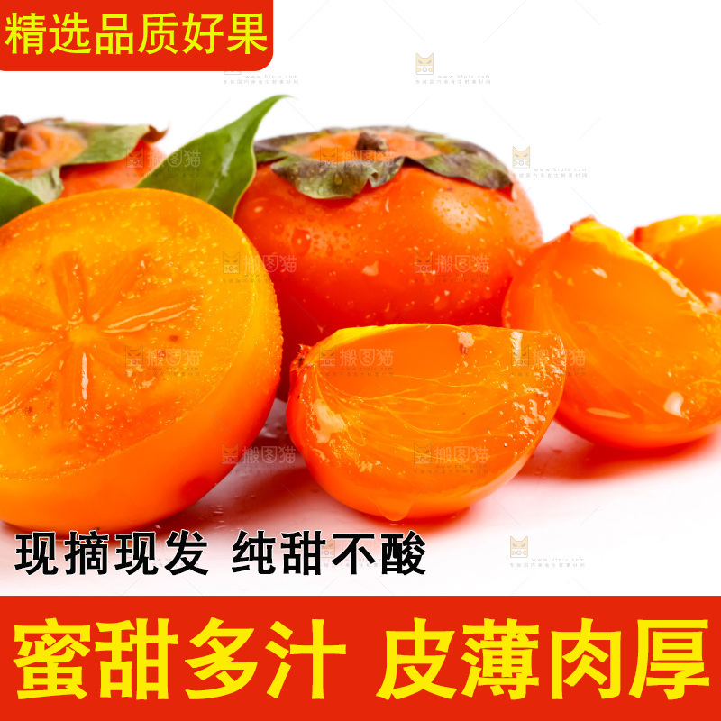 白底上的软柿子