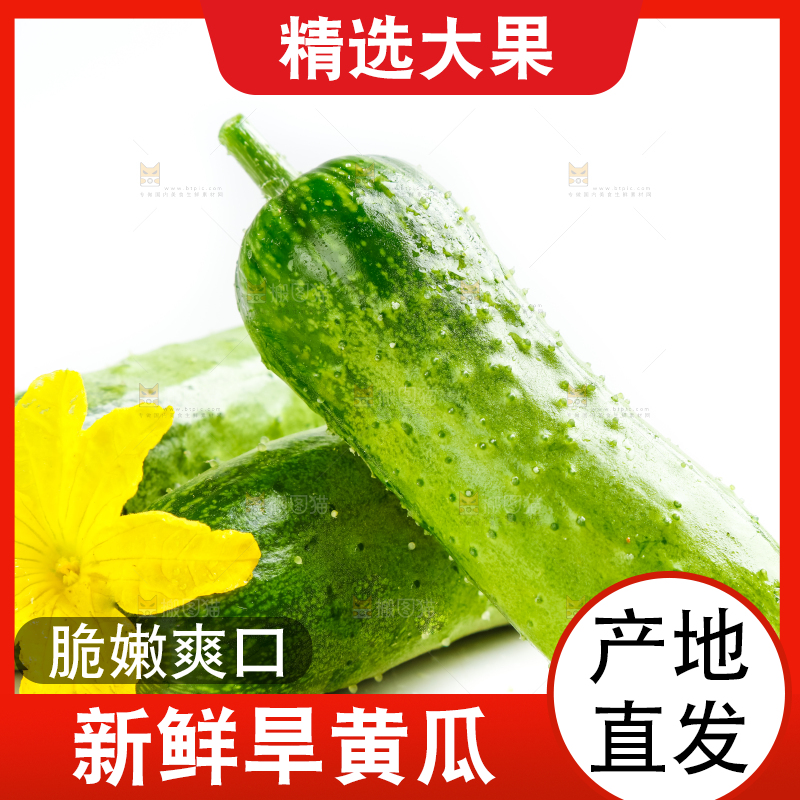 白底上的小黄瓜