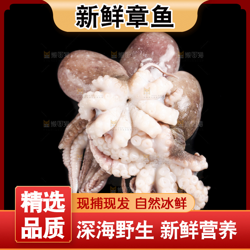 黑底上放着八爪鱼