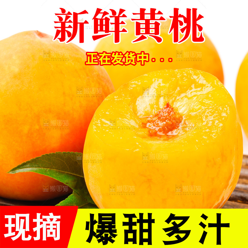 浅底上的山东黄桃