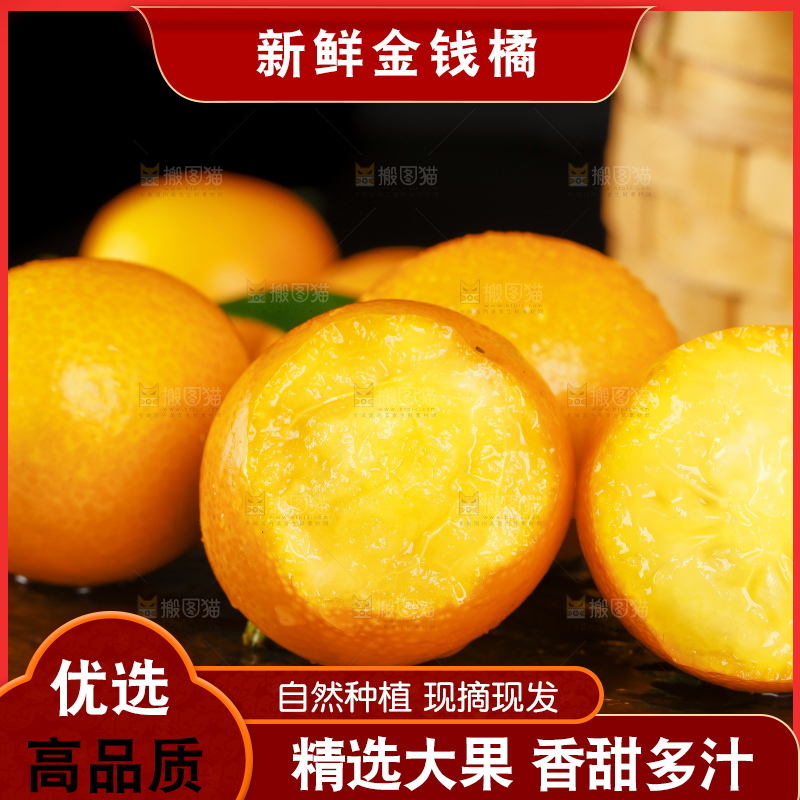 黑底上的小金桔