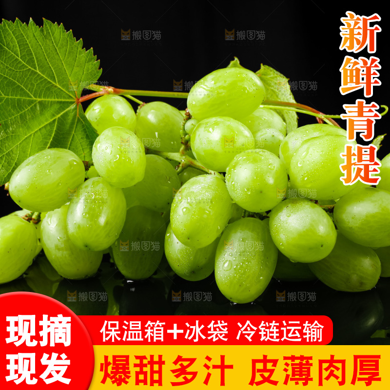 黑底上放着青提子