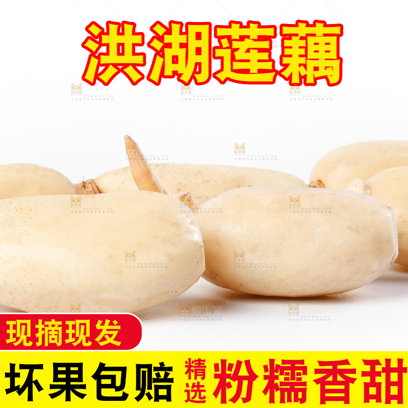 白底上的新鲜莲藕