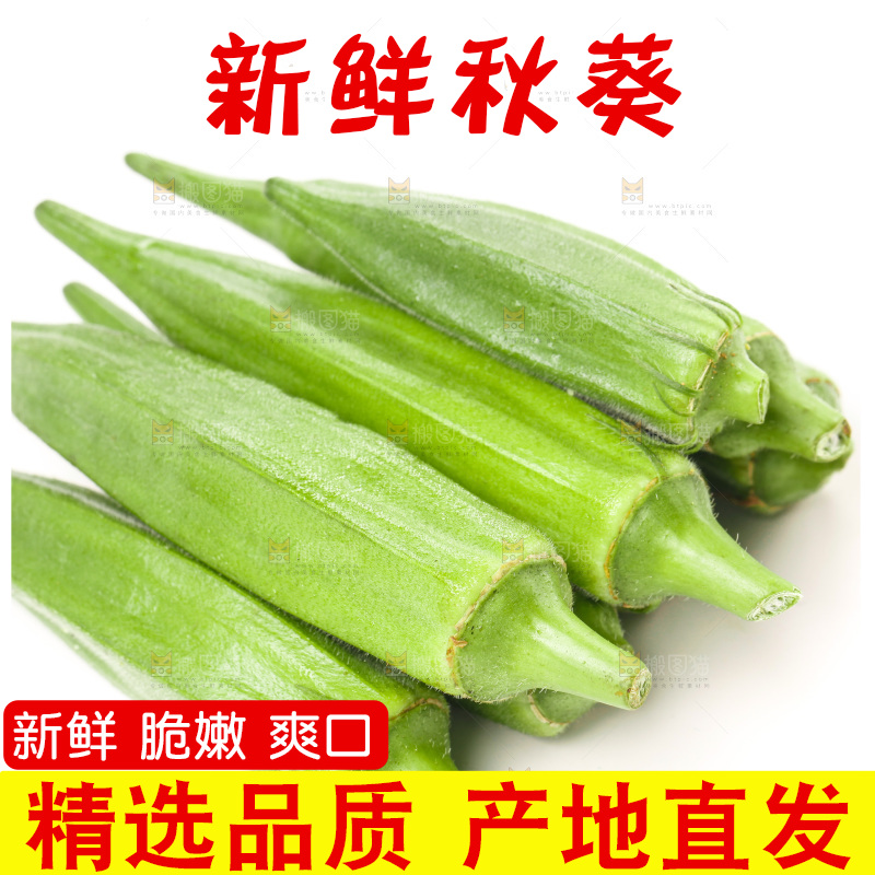 白底上的新鲜秋葵