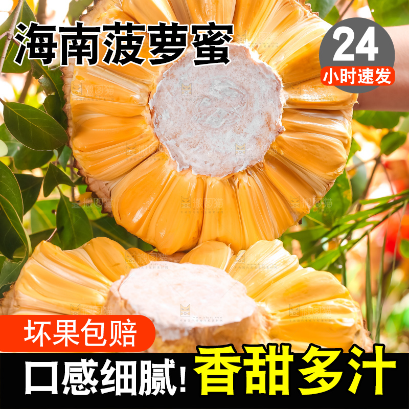 浅底上的越南红心菠萝蜜