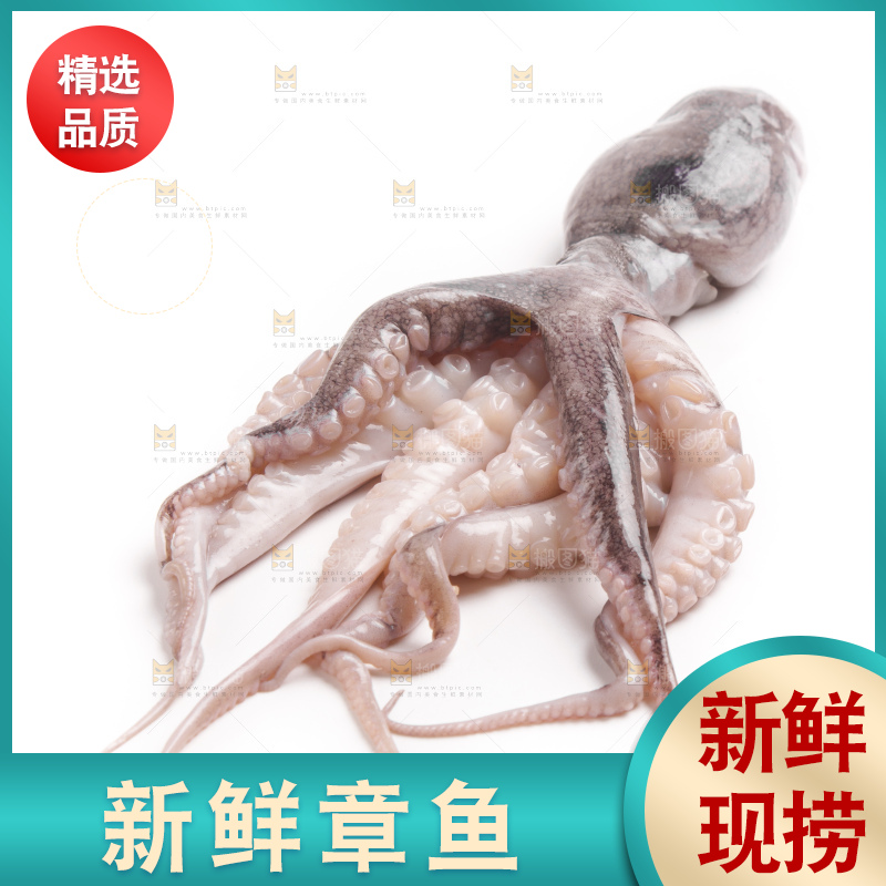 盘子里的大连章鱼