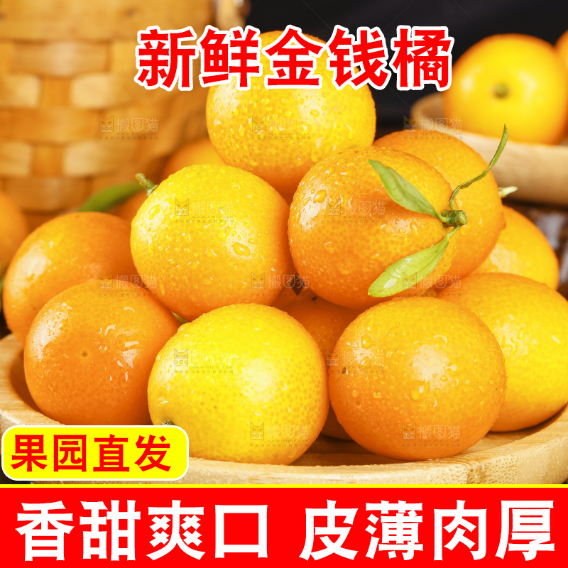 盘子里装着新鲜金橘