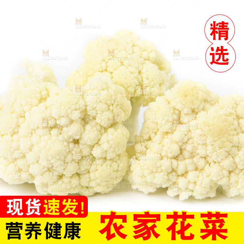 白底上的花菜