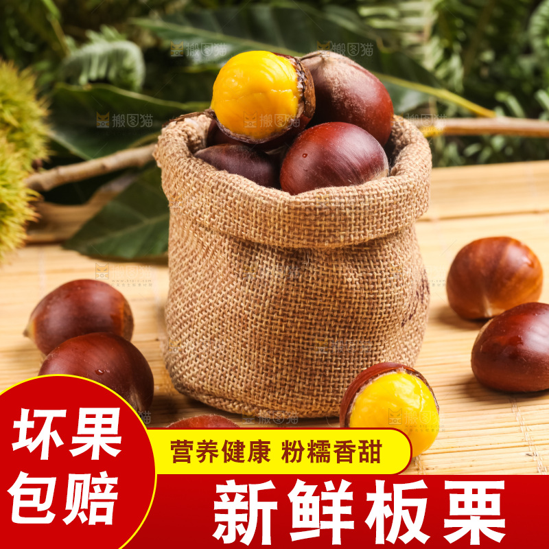 深底上的迁西板栗