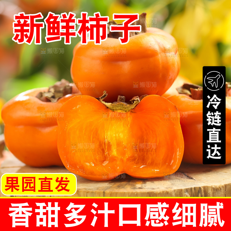 木板上放着易县磨盘柿
