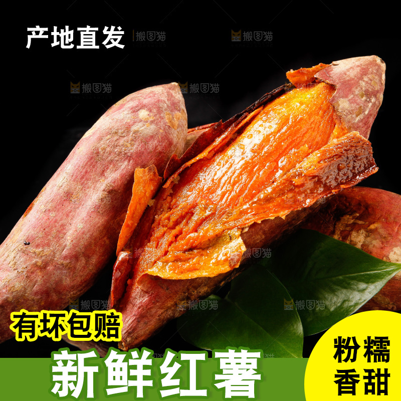 黑底上的烟薯25号