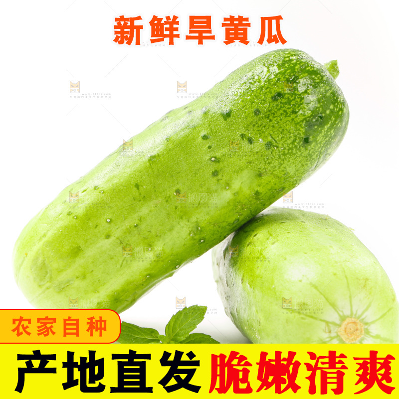 白底上放着新鲜旱黄瓜