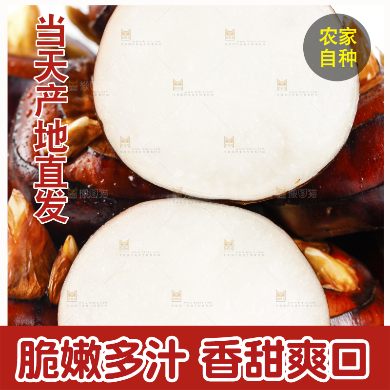 白底上放着广西马蹄