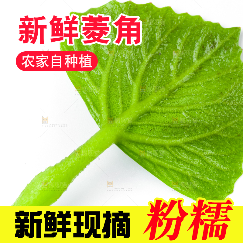 浅底上的新鲜菱角