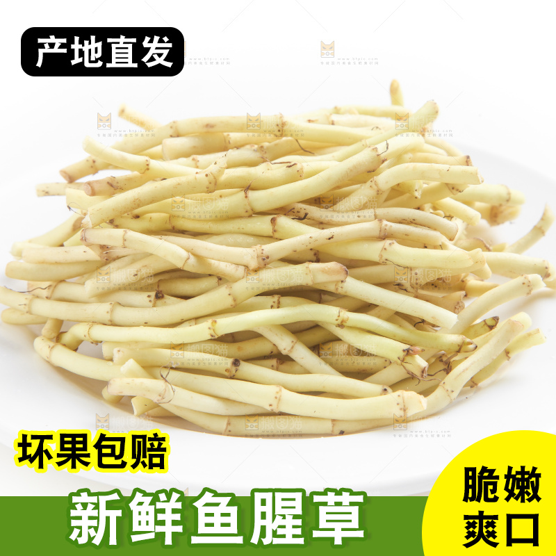 白底上放着折耳根