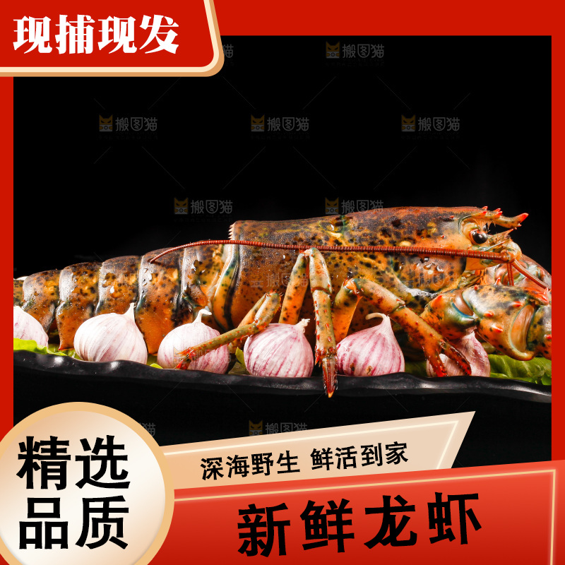 黑底上放着一盘大龙虾