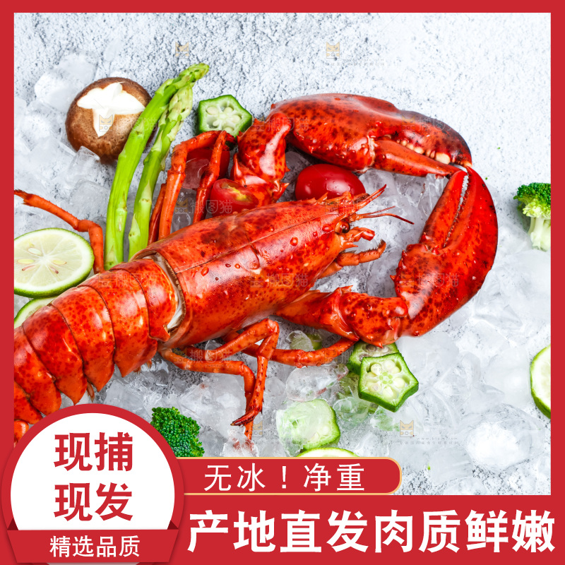石板上的波士顿大龙虾