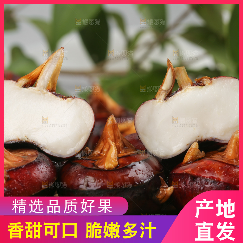 木板上放着广西马蹄