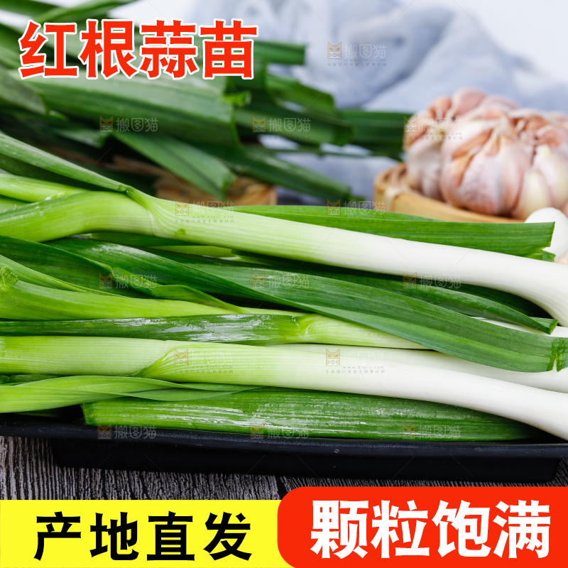 深底上的蒜苗