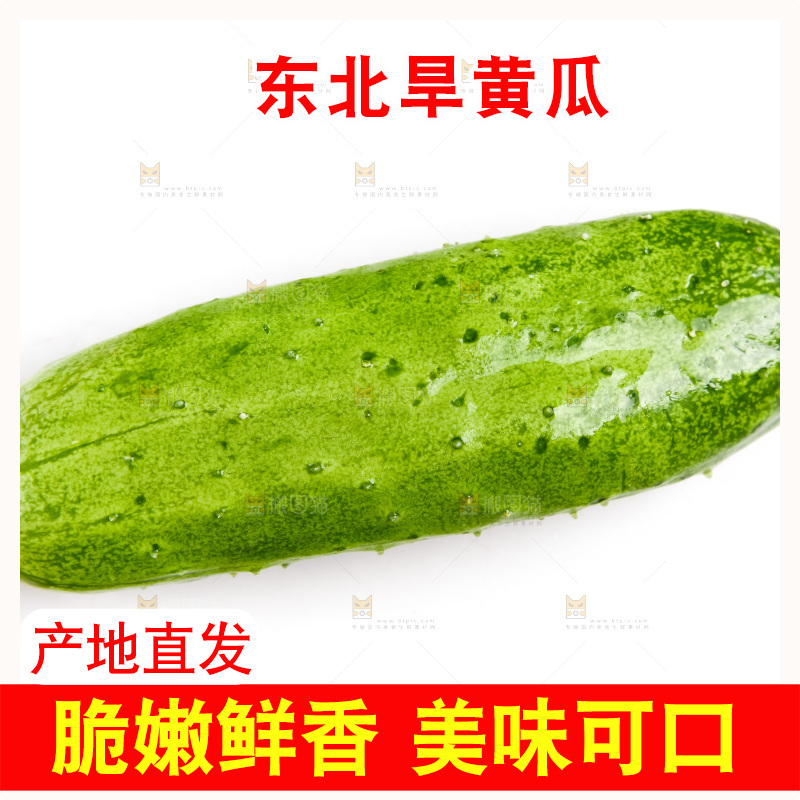 白底上的小黄瓜
