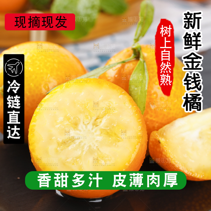 黑石板上的广西金钱橘
