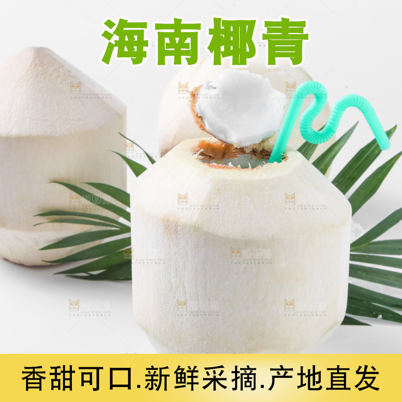 白底上青椰子