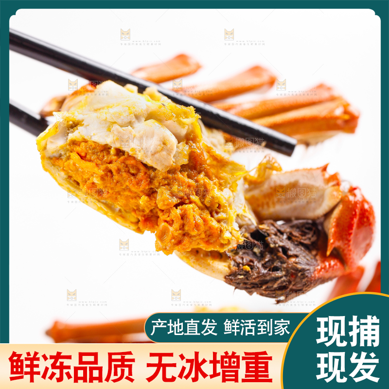 筷子上夹着清蒸螃蟹