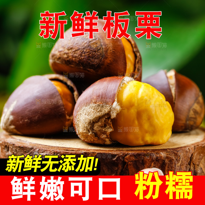 手里拿着毛栗子